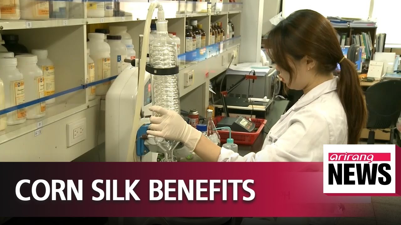 Local scientists find out corn silk helps repair prostate symptoms
