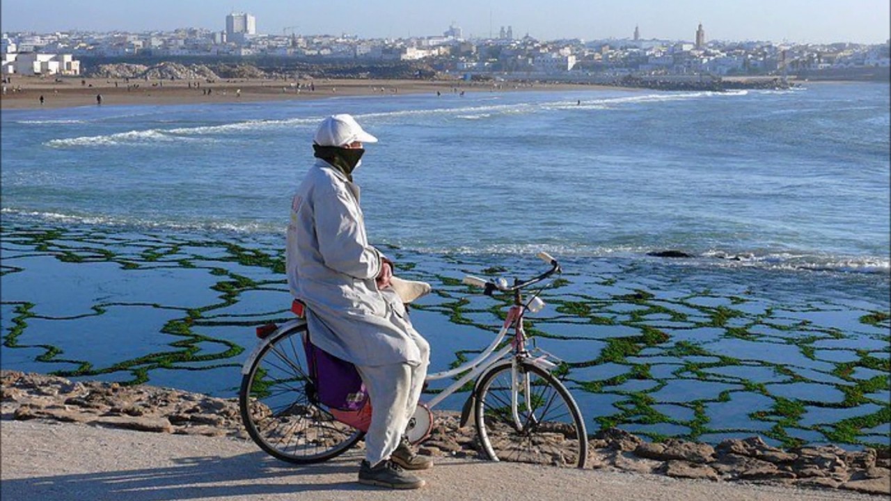 La Médina le Mellah et les oudayas Rabat