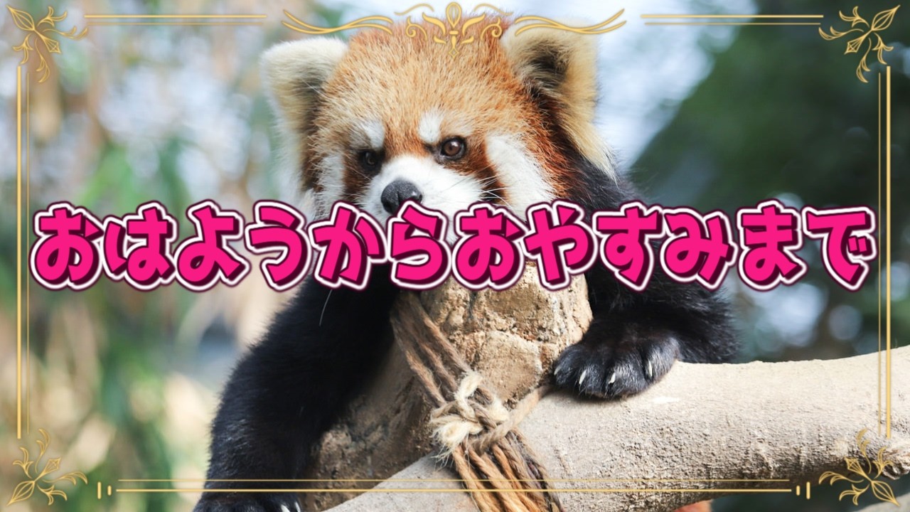 【雑談】最近のこととかまた観劇したこととか。【白星むく】