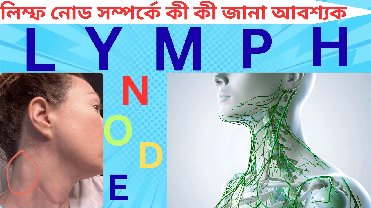 লিম্ফ নোড | Lymph node|লিম্ফ নোড সম্পর্কে কী কী জানা আবশ‍্যক|What you need to know about lymph node🩷