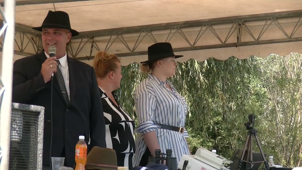 Kettesfogathajtó verseny Tabon