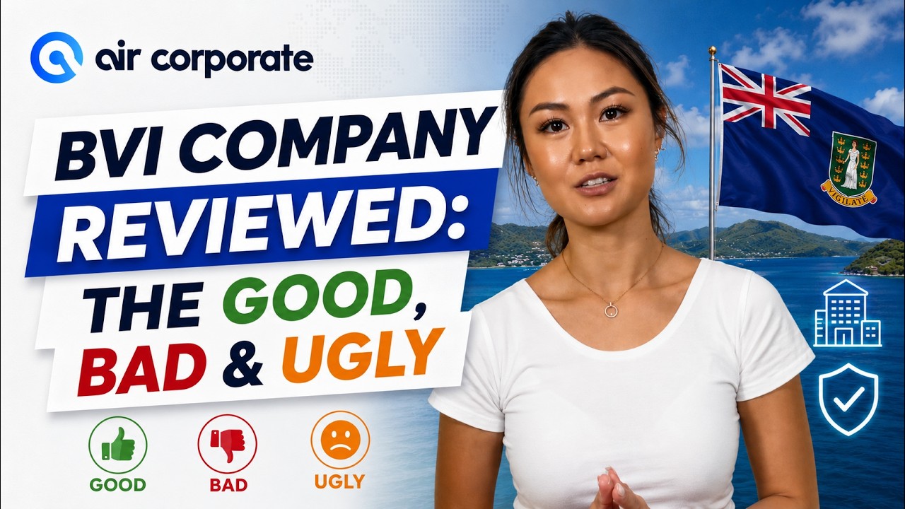BVI Company Review: Pros, Cons, and FAQs