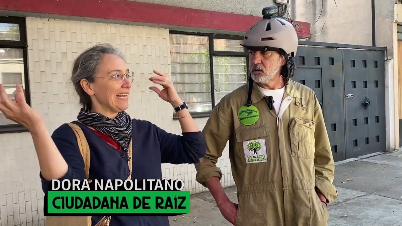 Hojarasca | Va por los árboles