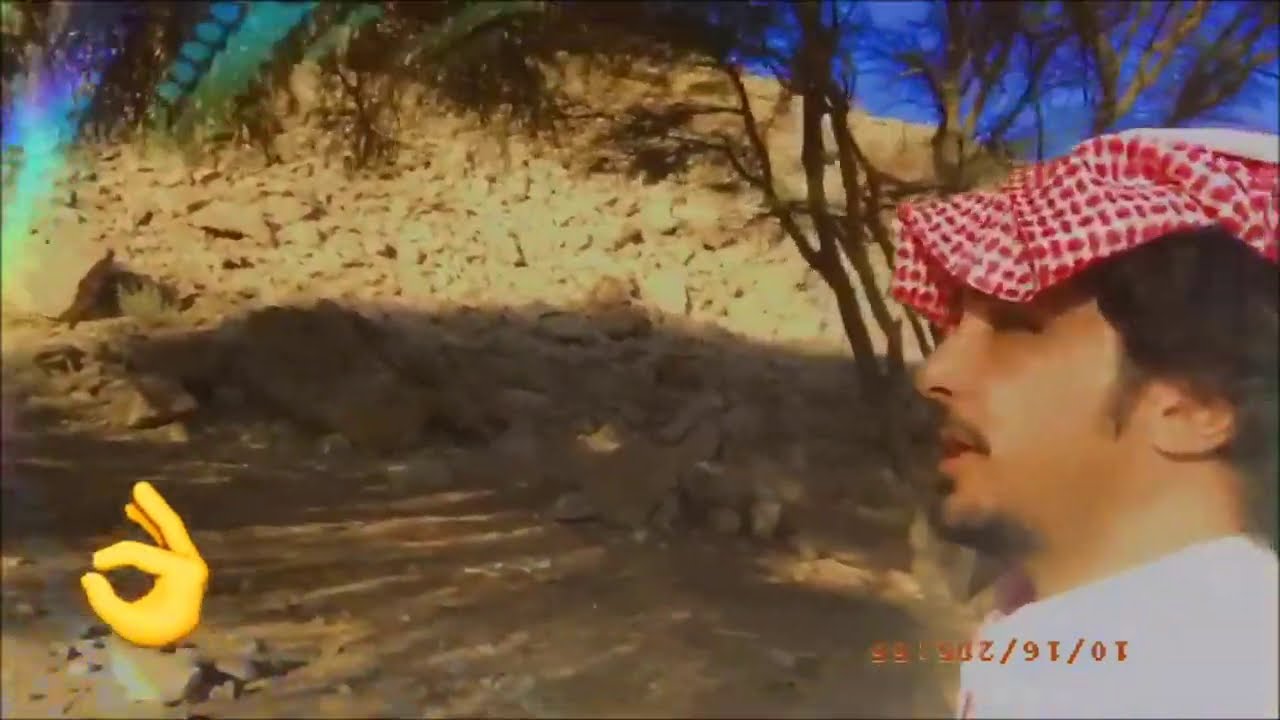 قطع الاشجار البرية المعمرة  جريمة  Do not cut down wild trees