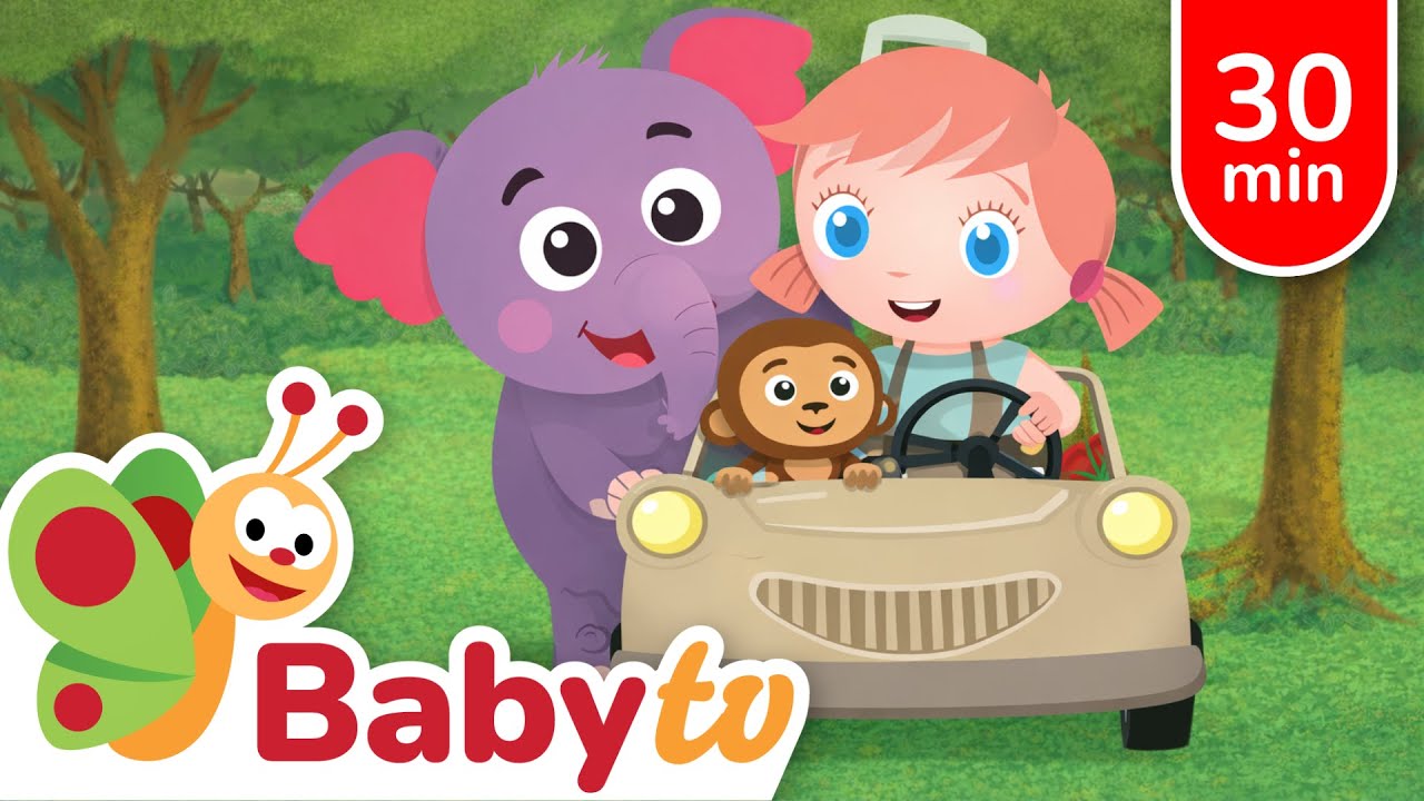 Animals for Kids | Bear, Lion, Monkeys & More | Wild Animal Songs | BabyTV
