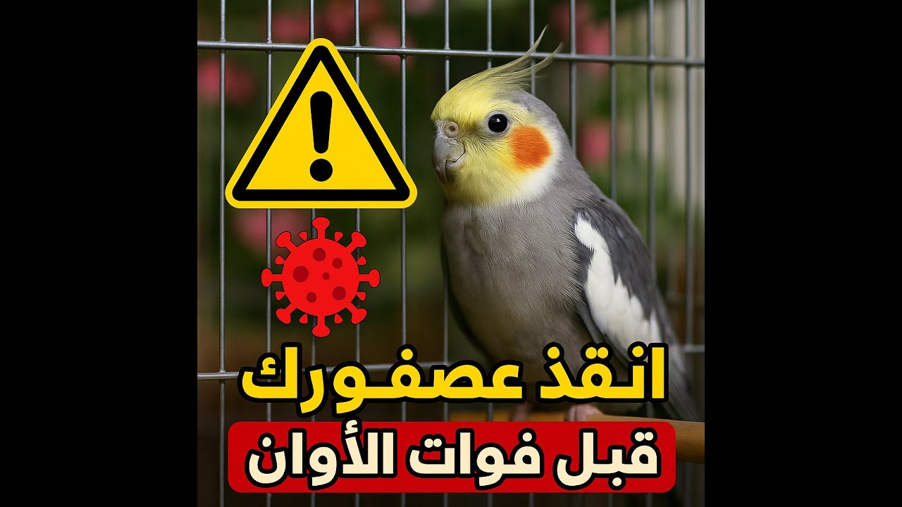 🦜⚠️ 