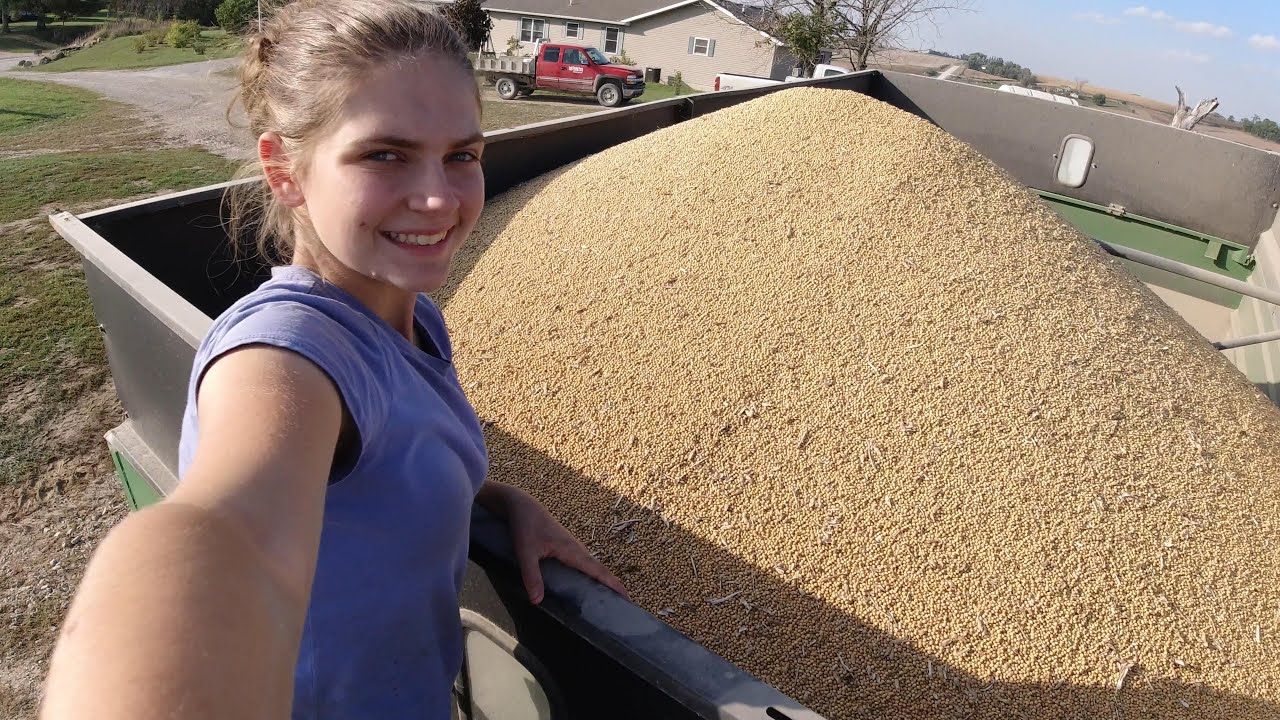 Soybean Harvest on Our Central Iowa Farm | Fall Farmathon 2023 Episode 3 | #farmathon