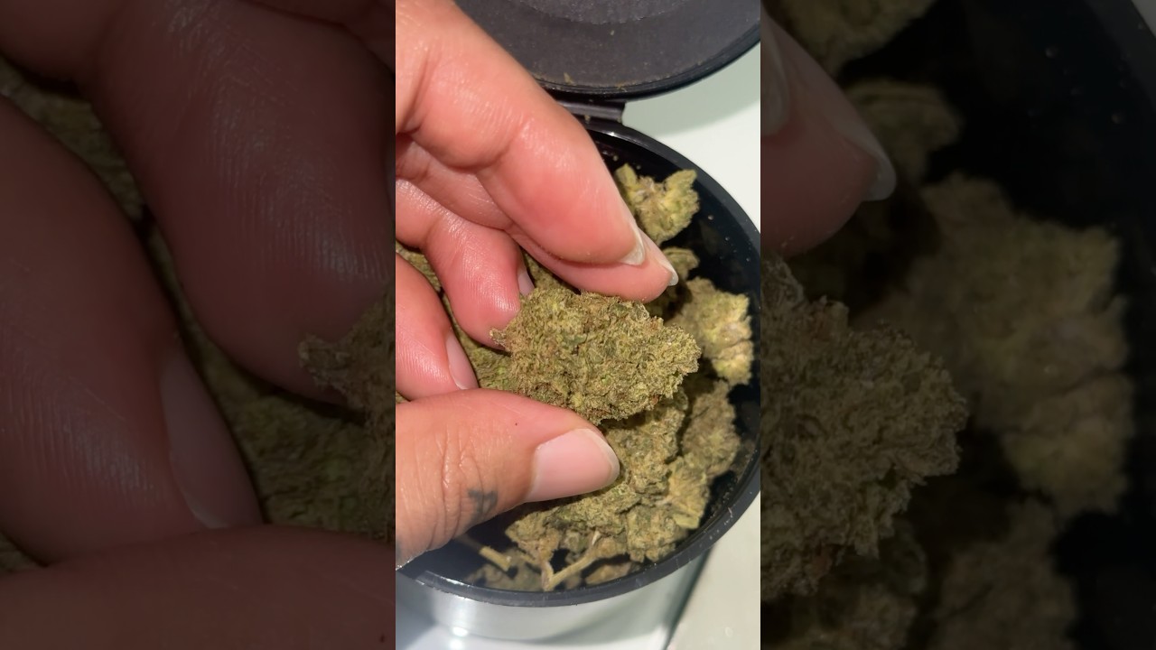 Shop with THCA KING!Dont bother this flower from biowellnessx!THCA KING 🔥Use 10% code  Chopitspot