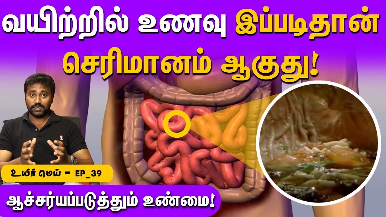 ஒரு நாளைக்கு எத்தன முறை மலம் கழிப்பீங்க? l Digestion process explained in Detail | Uyirmei EP-39