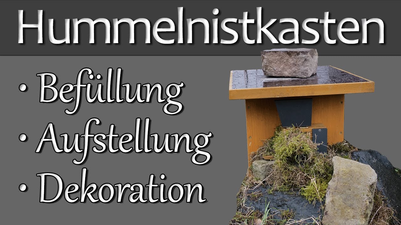 Hummelnistkasten - Befüllung, Aufstellung, Dekoration zur Selbstansiedlung
