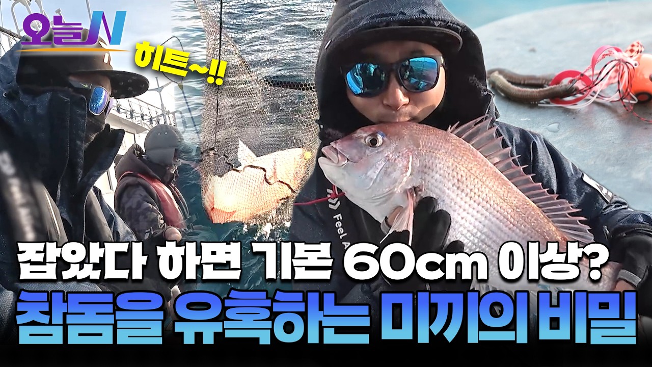 수심 100m 밑에서 올라온 선홍빛 보물! 겨울 참돔 낚시 대공개🎣ㅣ오늘N