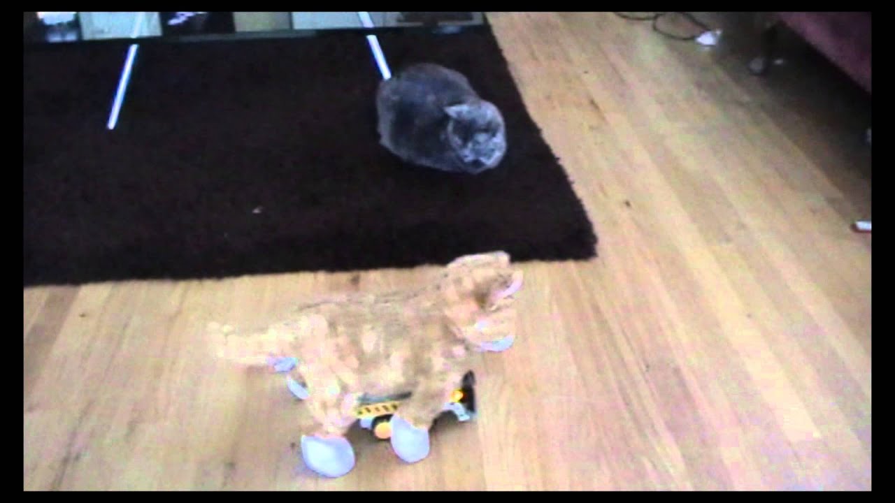 Robocat