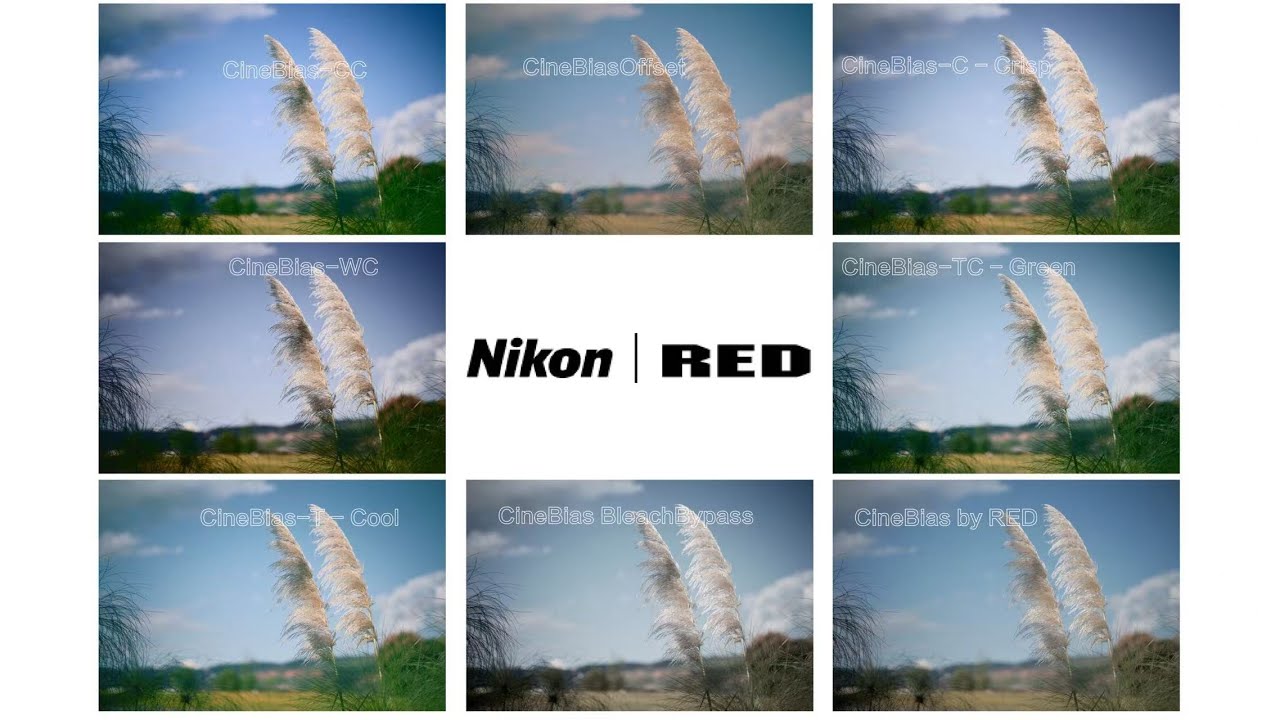 千呼万唤始出来，尼康云创重磅更新，Nikon/RED联合推出的色彩预设，具体表现到底如何？能和富士一较高低吗？