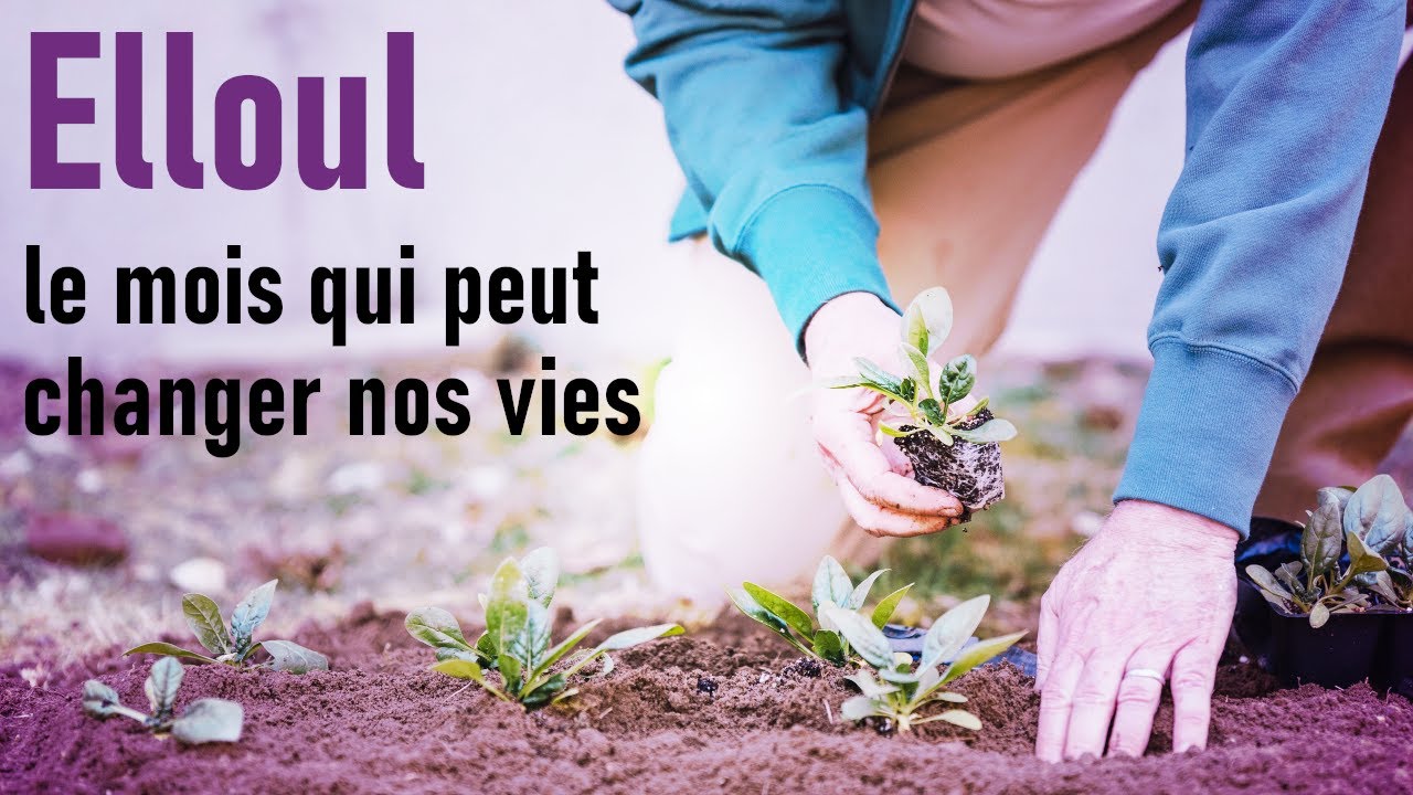 Elloul : Le mois qui peut changer nos vies, profitons-en !