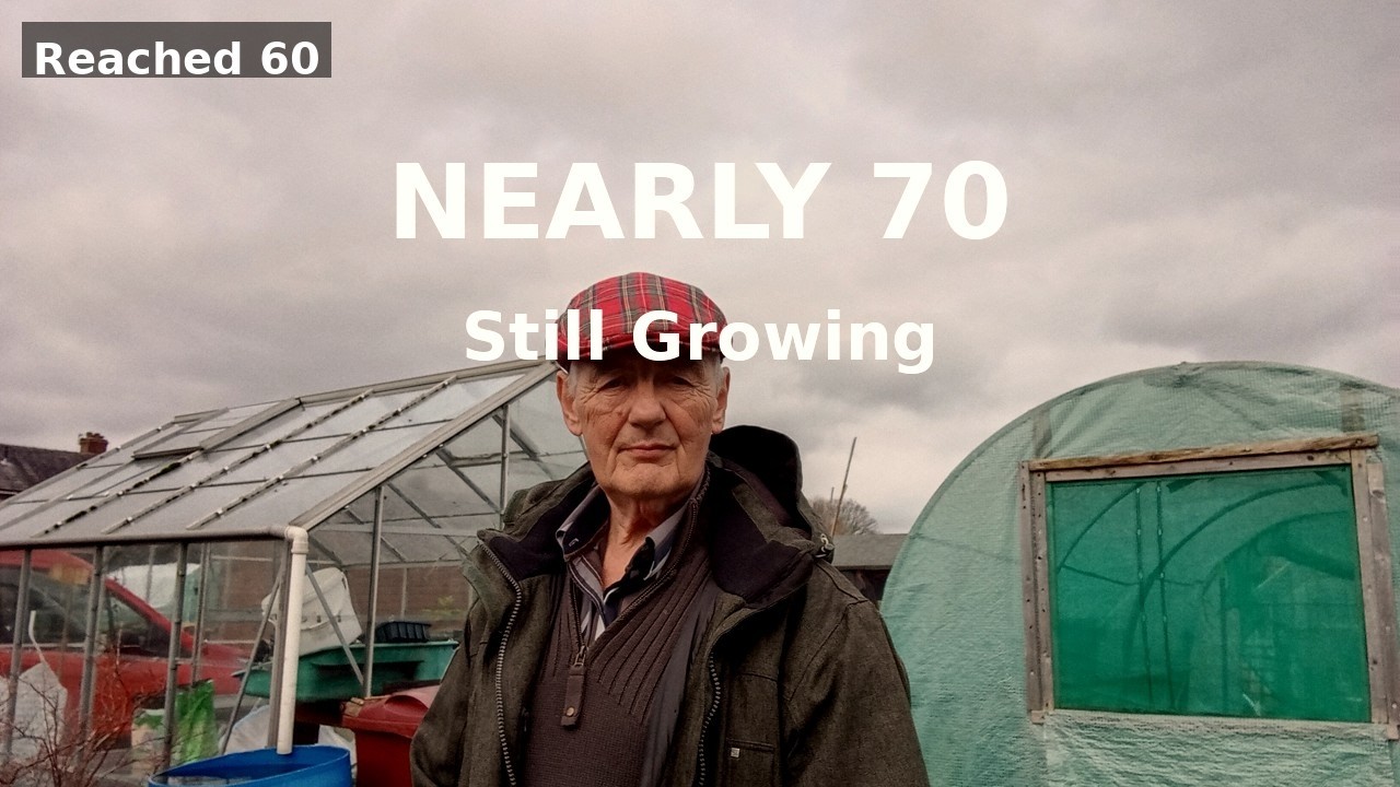 Down at the Allotment Nearly Reached 70… Still Growing #allotmentlife