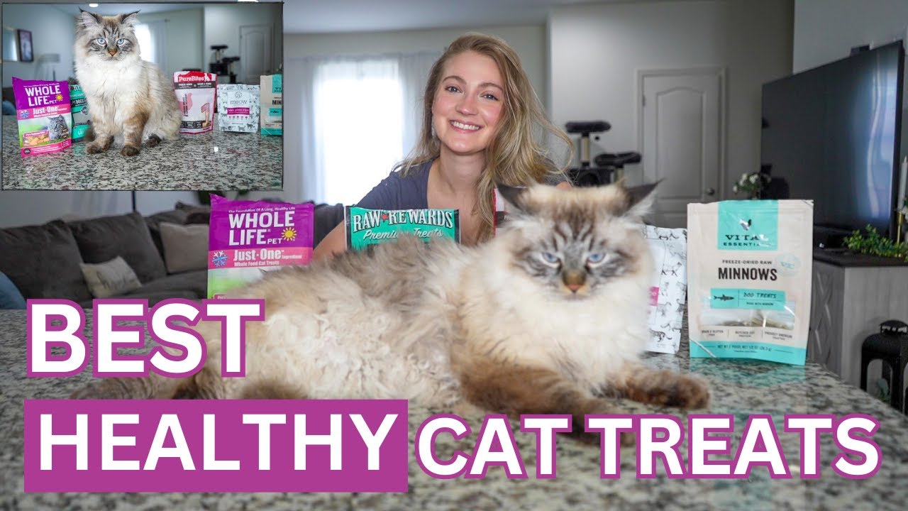 The Best Cat Treats (Both Healthy & Delicious)
