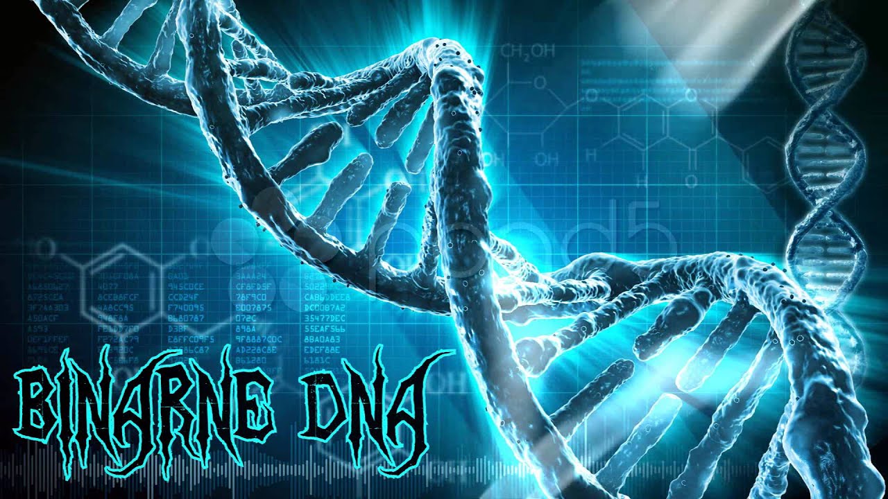 Creepypasta ★ Binarne DNA (Lektor PL)