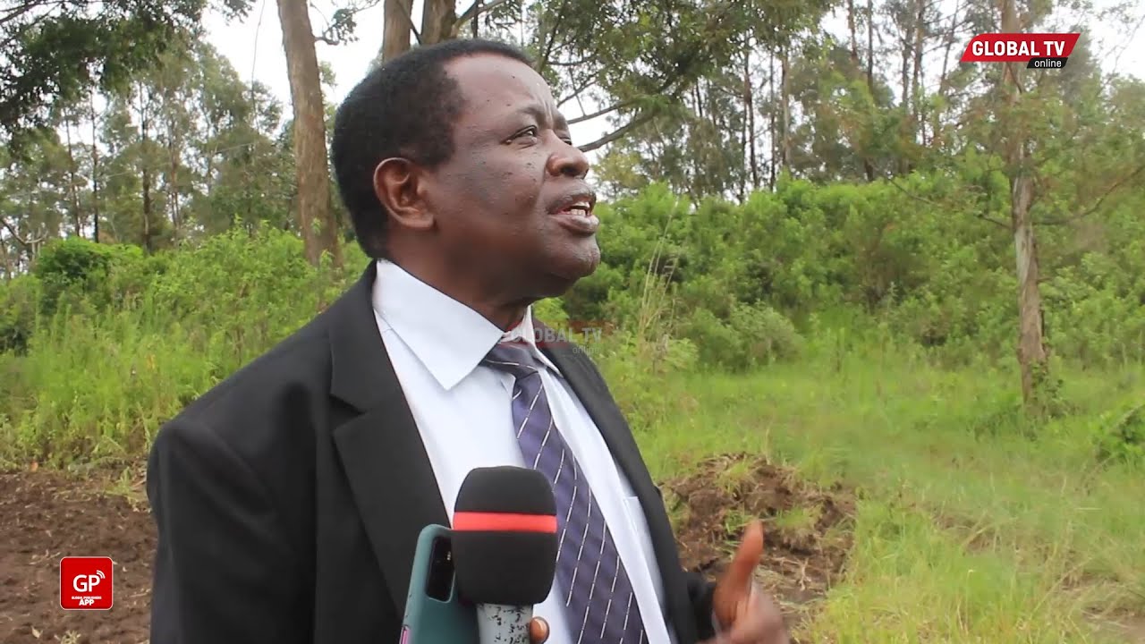 KAMA ULIKUWA HUJUI, HUU NDIO UMUHIMU WA SOYA MWILINI, TARI WAELEZEA...