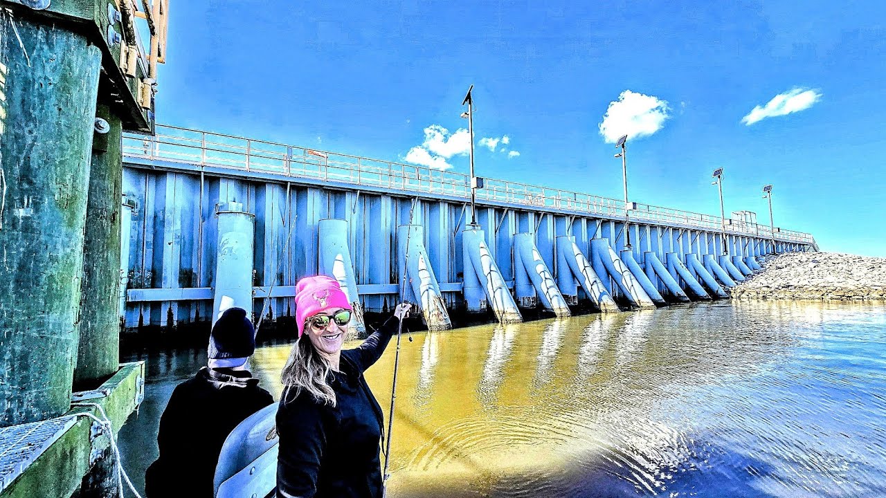 Catching Sheepshead & Huge Louisiana Blue Crabs - Catch and Cook!