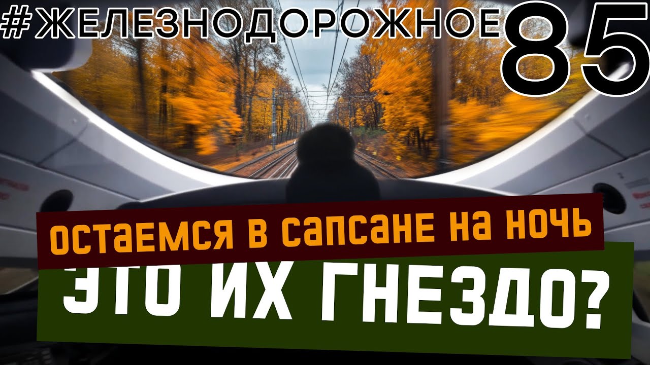Сапсан по маршруту: Санкт-Петербург - Металлострой  #железнодорожное - 85 серия