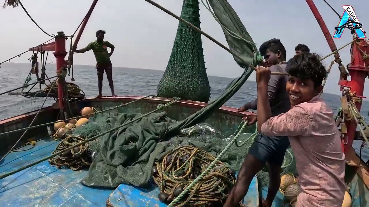 Young Fishermen at Work | Casting Hope on the Open Sea | Sea, Nets, and Determination | #KadalTV