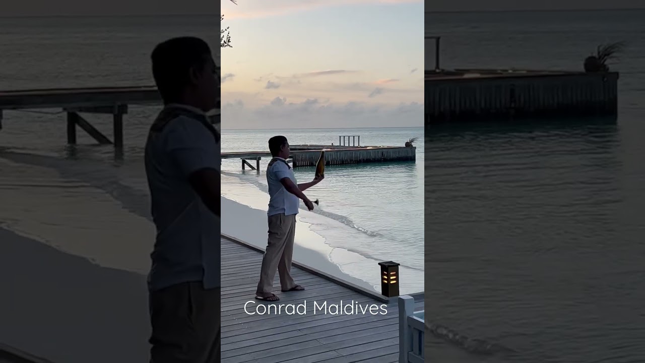Conrad Maldives wine room dinner