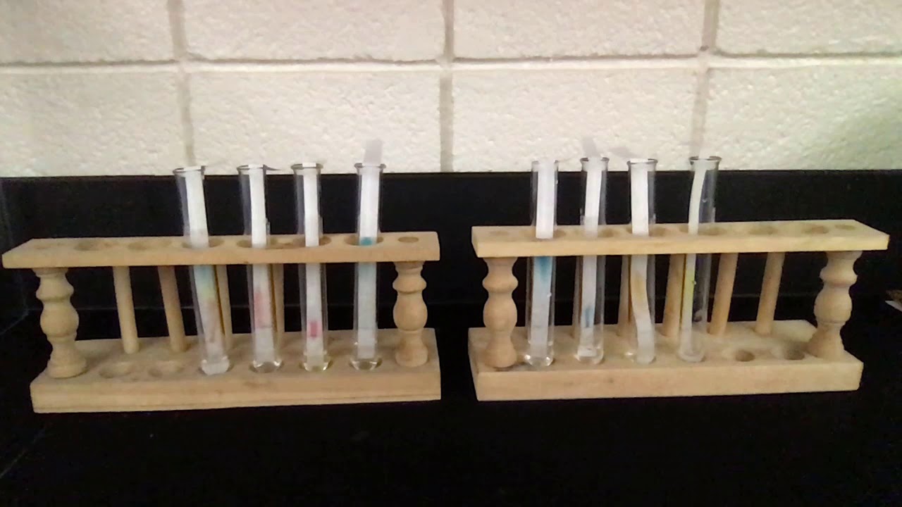 Paper Chromatography