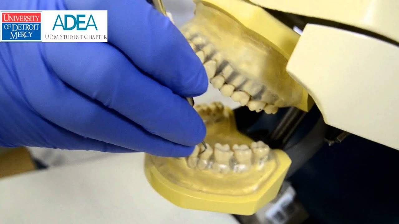 Pre-clinical Periodontal Instrumentation: 204S