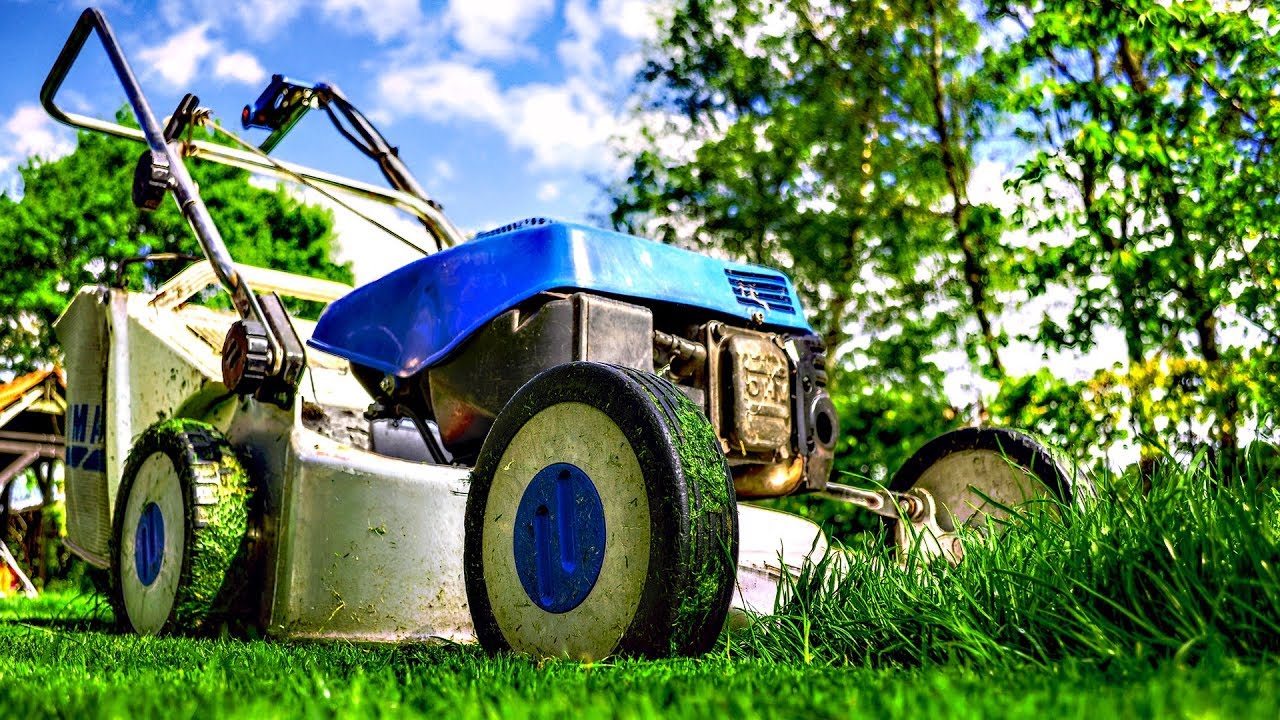 Lawn Mower Engine | Lawnmower Sounds | 10 Hours of Grass Cutting