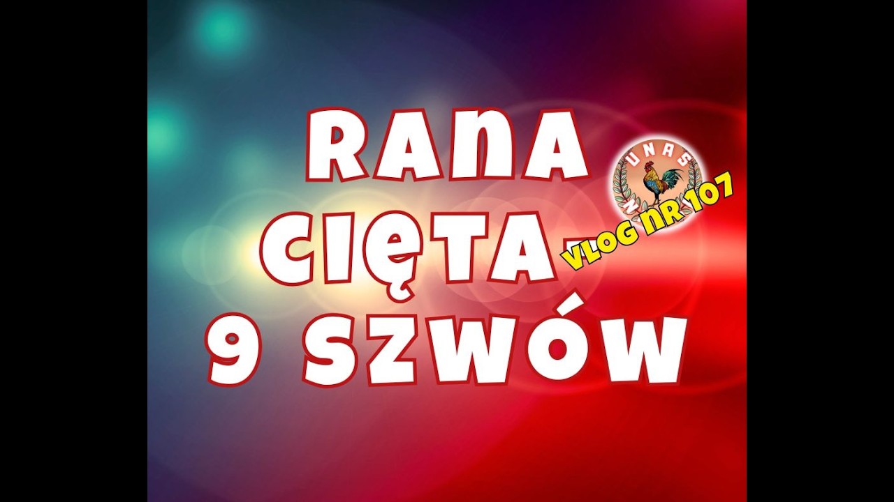 RANA CIĘTA 9 SZW&Oacute;W. ZBIERAMY NASIONA SAŁATY