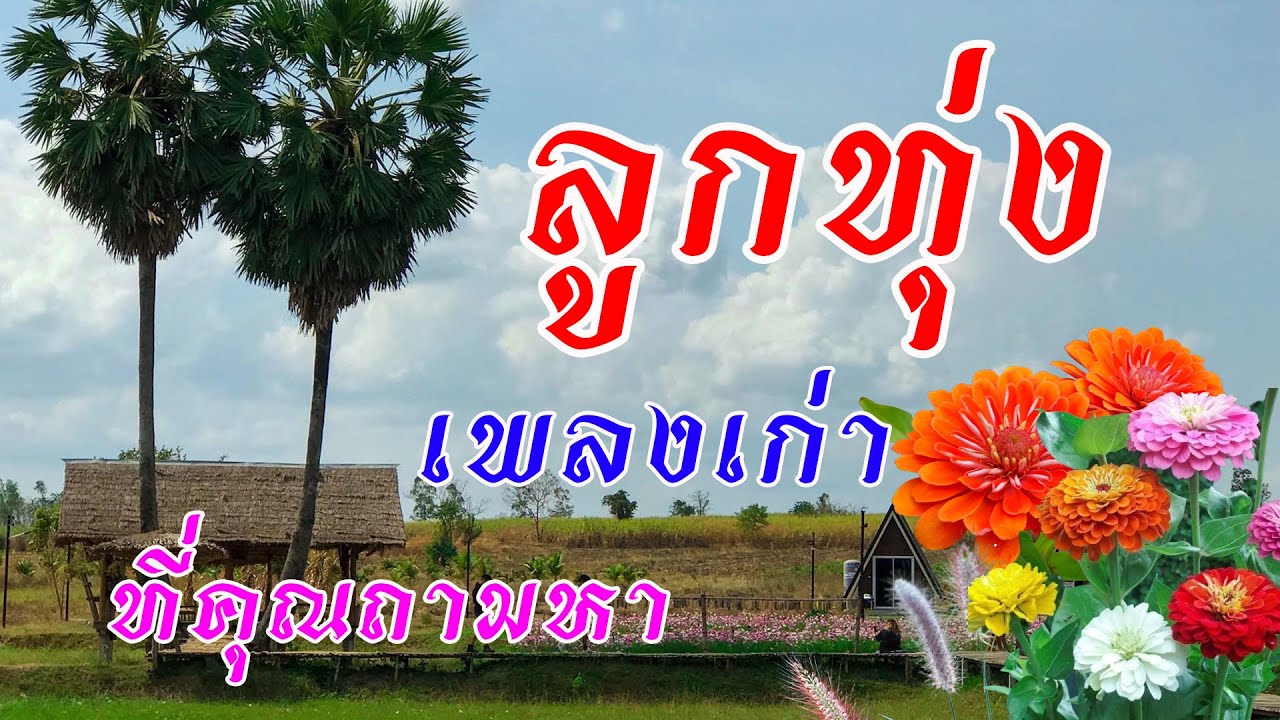รวมเพลงลูกทุ่งเก่าที่คุณถามหา