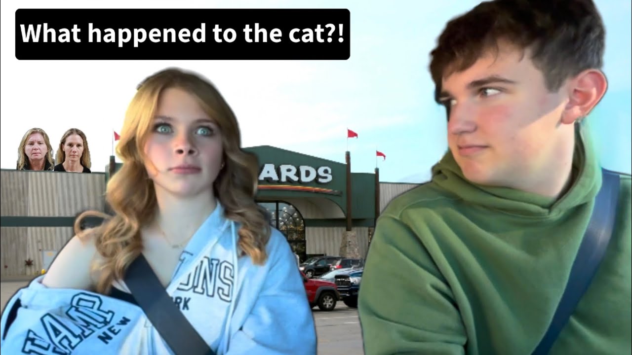 The journey of driving to shop