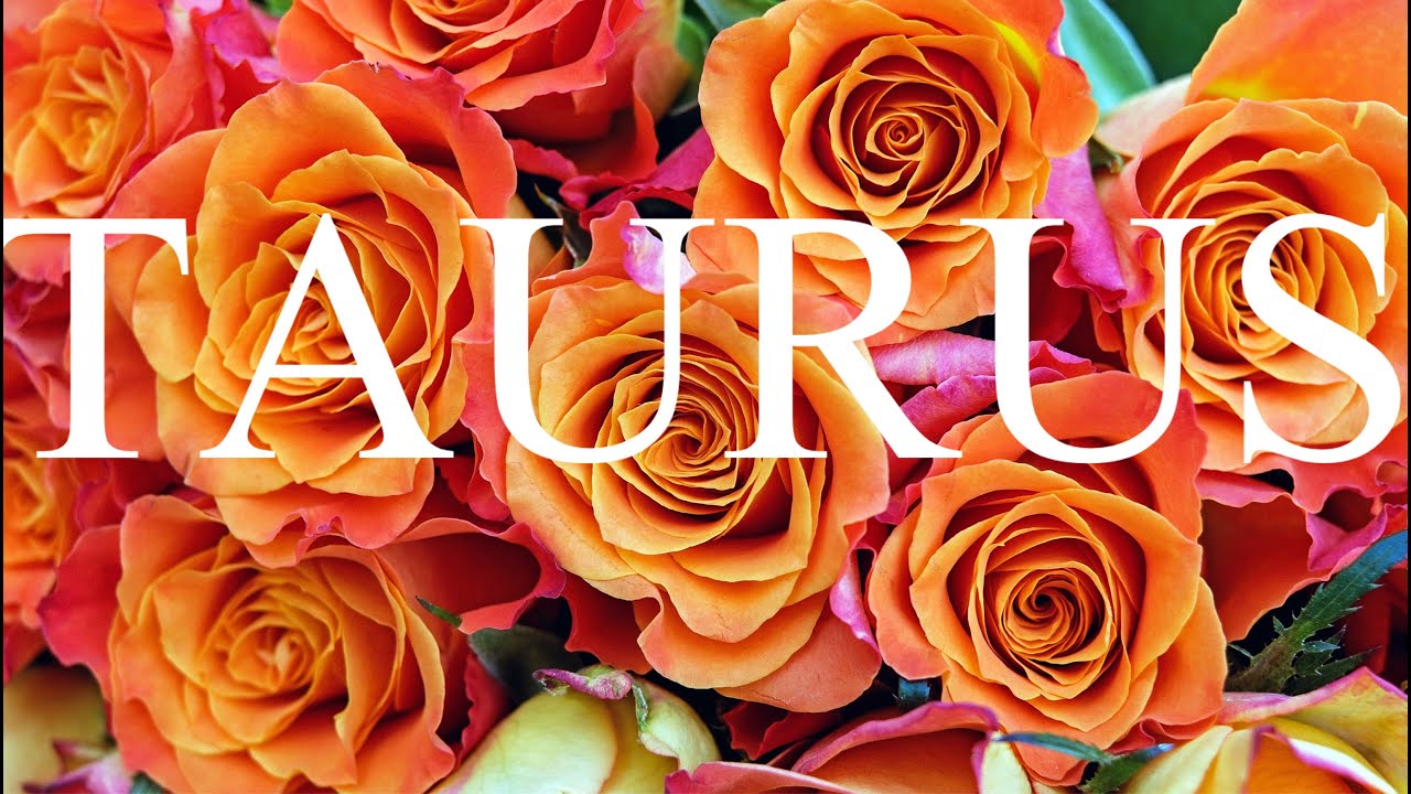 TAURUS AUGUST 2020 MONTHLY LOVE TAROT READING&rdquo; THINGS CHANGE FOR THE BETTER BETWEEN YOU &ldquo;🌹❤️💗😂