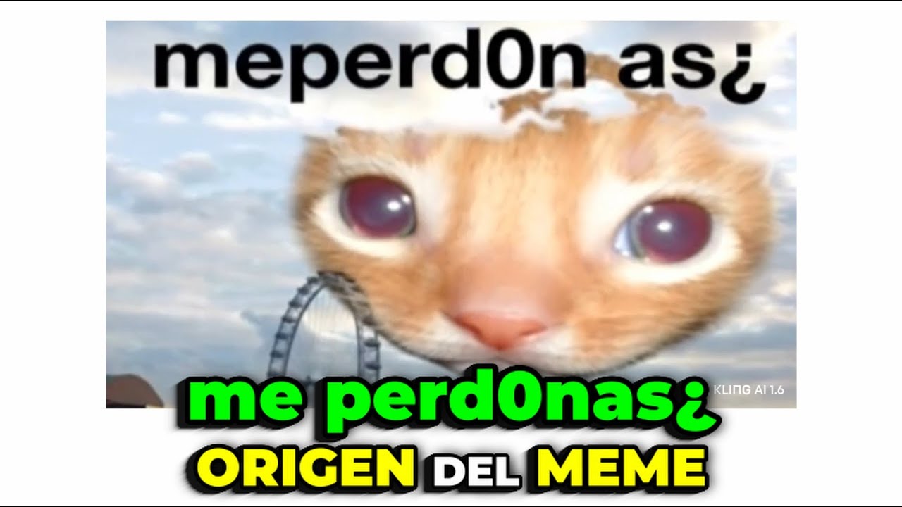 Me Perdonas ? ORIGEN del MEME Quien es el Gato? Y como se creo la Imagen Viral? Historia Completa