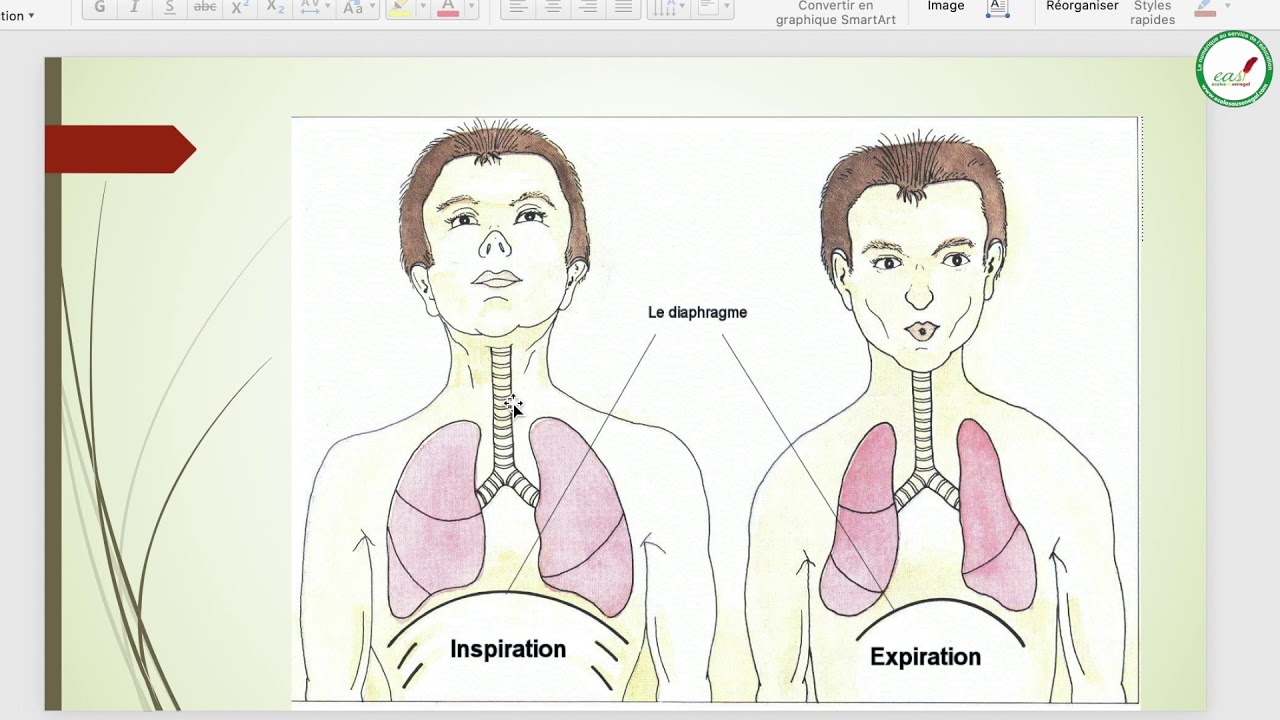 Cours - Troisième - SVT : Le phénomène énergétique accompagnant la respiration