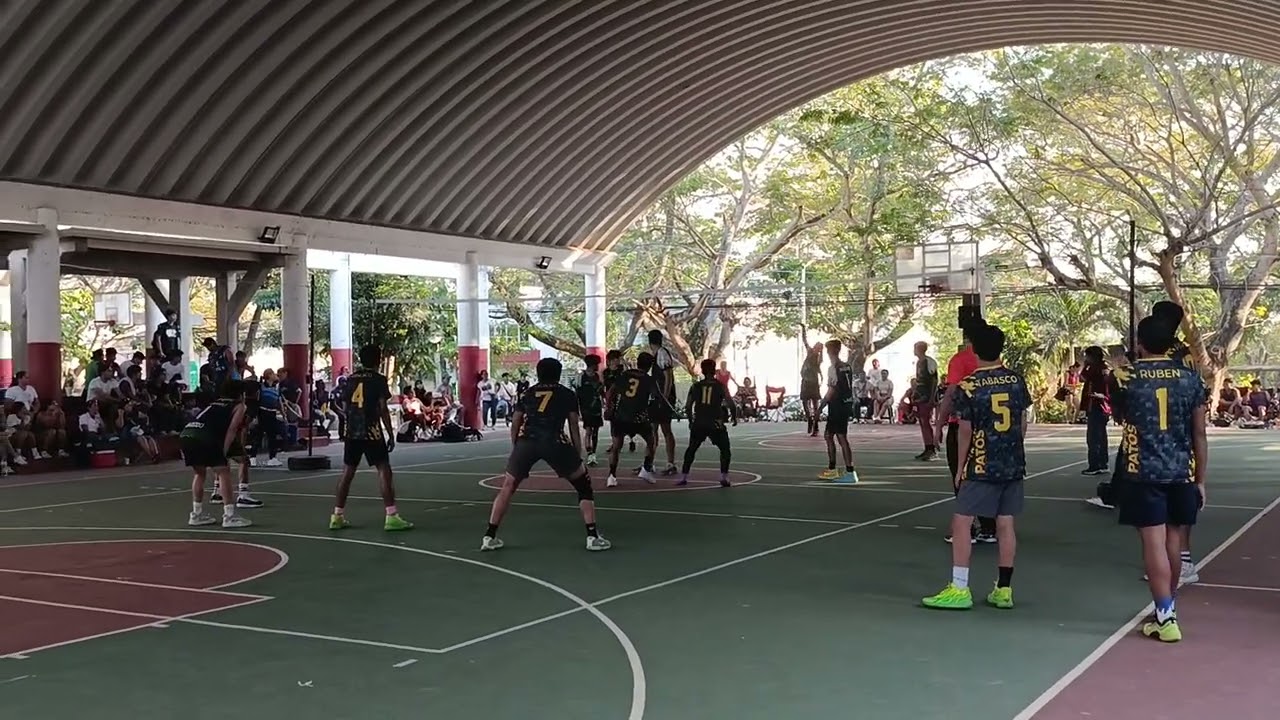 Set 3 vs lagartos 