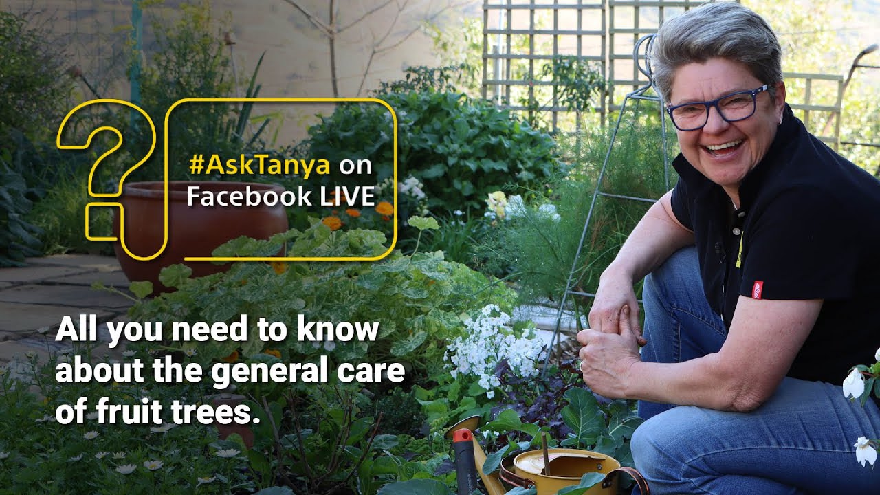 Garden Masterclass LIVE with Tanya Visser