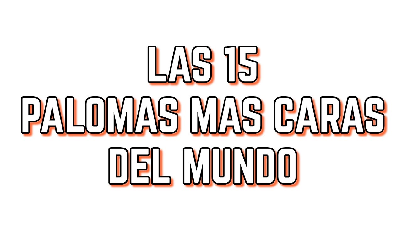 Palomas m&aacute;s caras del mundo