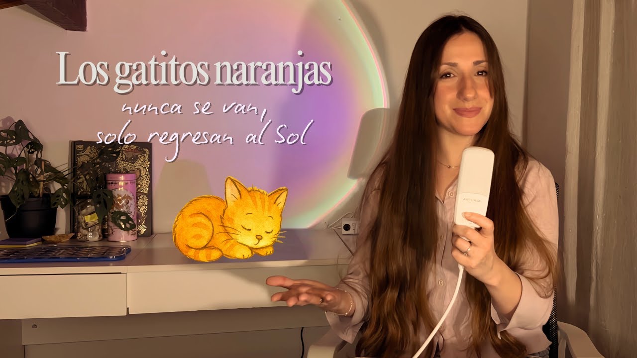 Los gatitos naranjas nunca se van, sólo regresan al sol ☀️(la historia de mi gatito Aquiles 🧡)