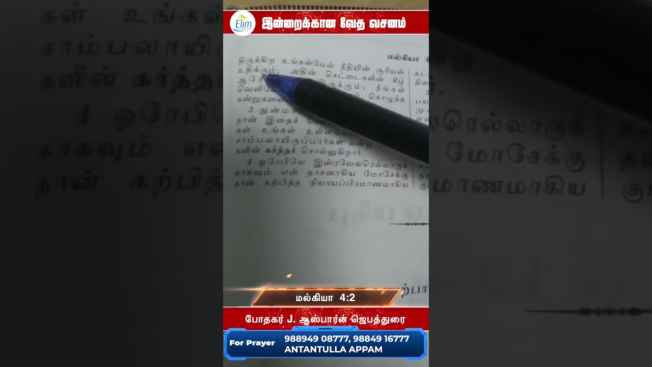 இன்றைக்கான வேத வசனம் || Pastor Osborne Jebadurai #Dailyverse #Bible #ElimGRC