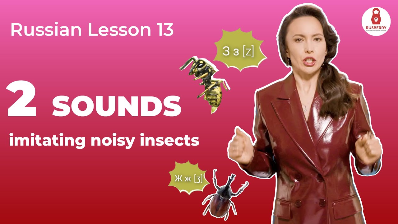 Russian lesson 13. Imitating noisy insects: ‘З’ and ‘Ж’