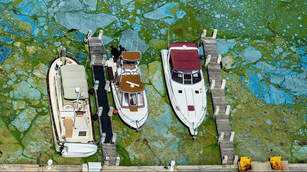 Seeing Science: Toxic Algae
