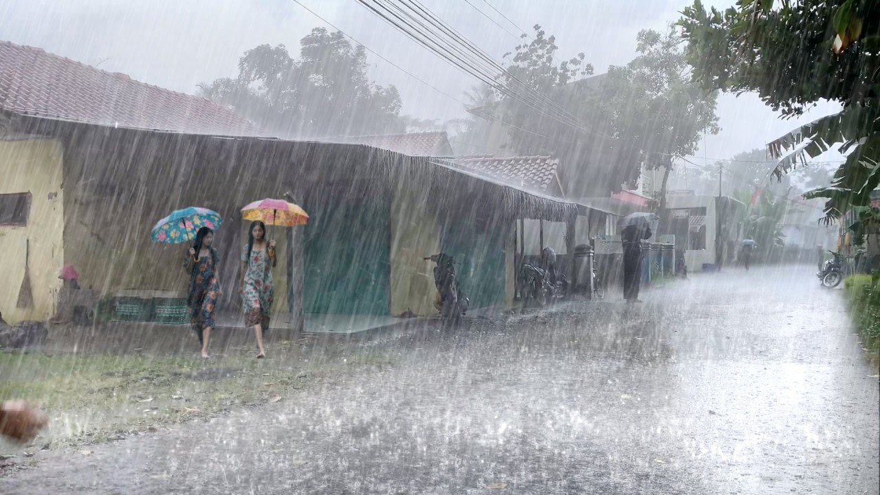 Big heavy rain & strong winds in my village, Sleep instantly with the sound of heavy rain