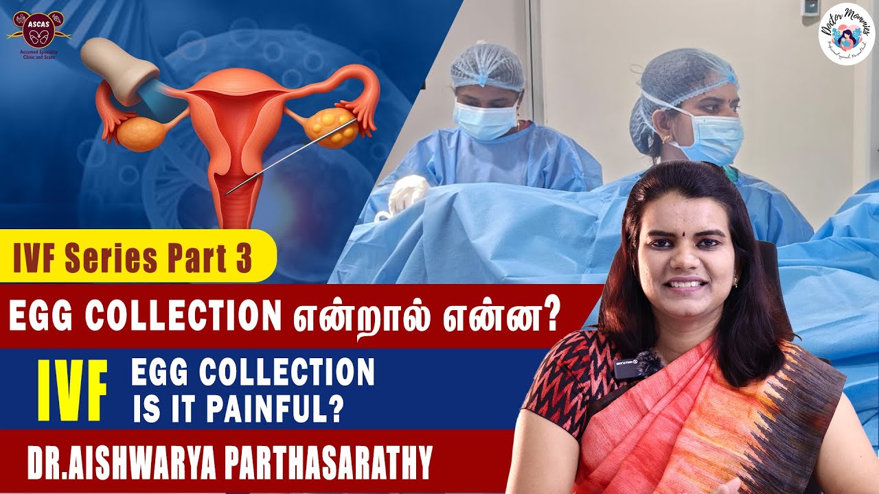 Egg Collection என்றால் என்ன? | Egg Collection Day அப்போ என்ன நடக்கும்? How to Prepare Yourself?
