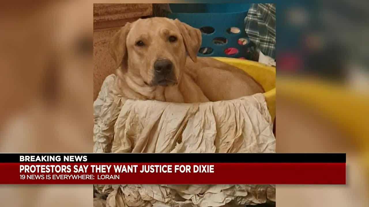 Lorain officer who fatally shot dog placed on leave following community protest