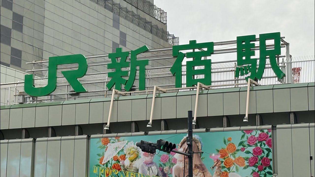 東京の横断歩道を渡るわ