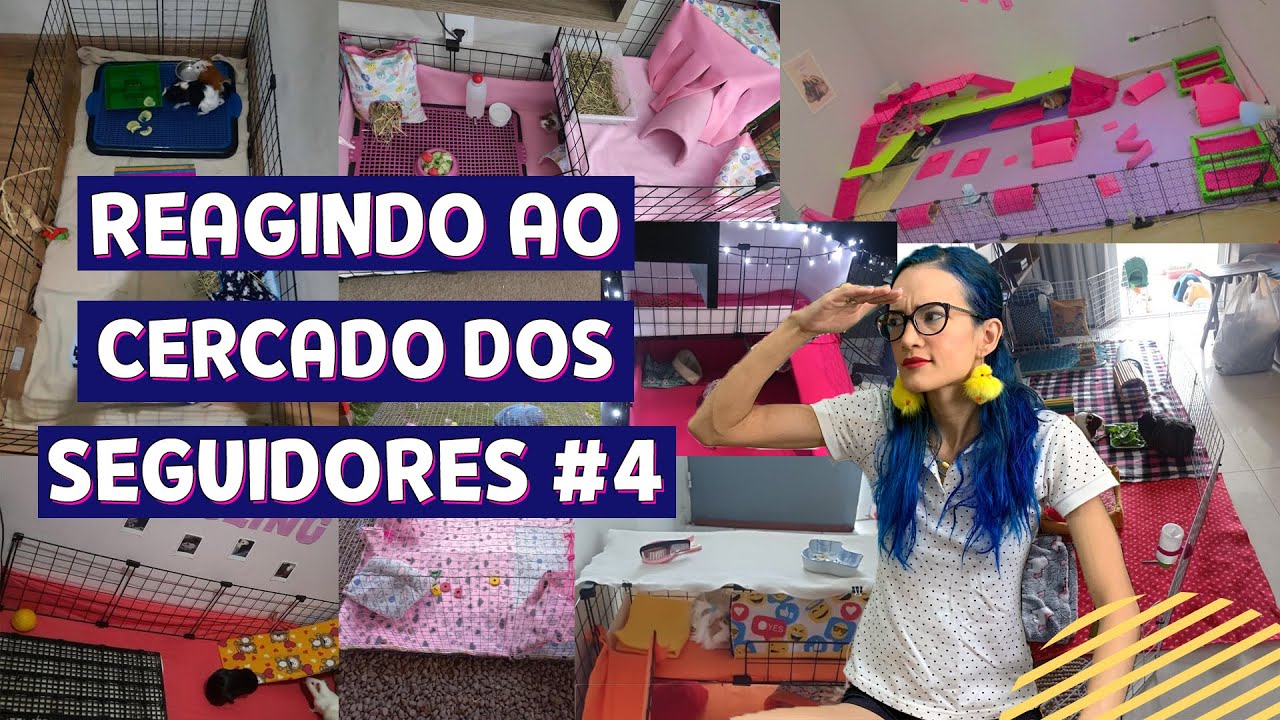 REAGINDO AO CERCADO DOS SEGUIDORES #4