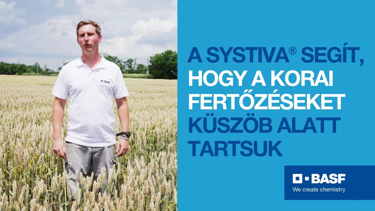 Gombaölő szerek hatékonyságának összehasonlítása Csárdaszálláson