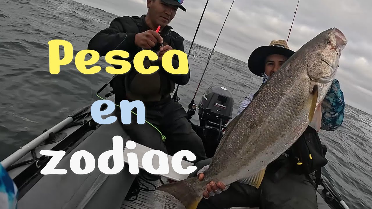 Pesca de Corvinas &  Palometas