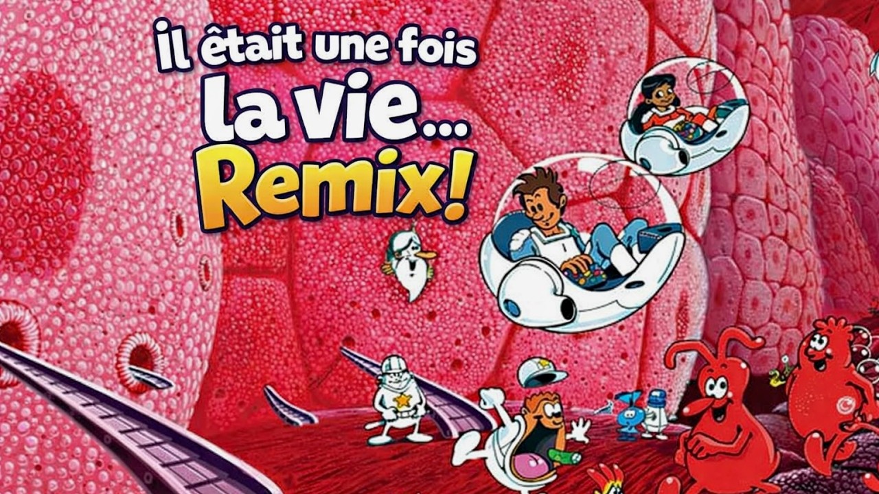 Il était une fois... La vie (Brice de Mix version)